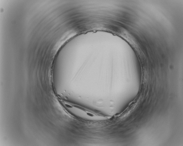 X0000088830806200707051421