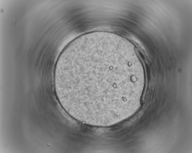 X0000088830808200707051420