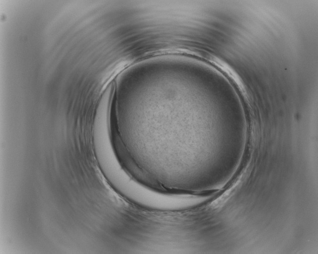 X0000088830809200707051420