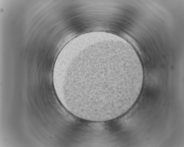 X0000088830810200707051420