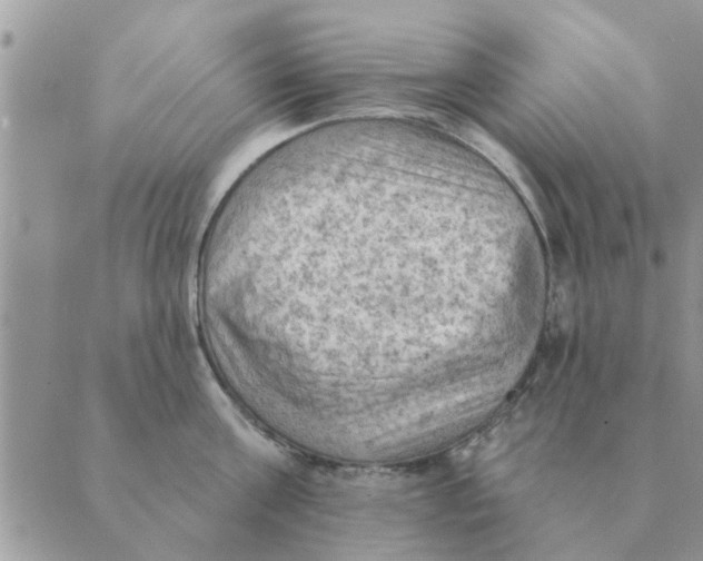 X0000088830811200707051420