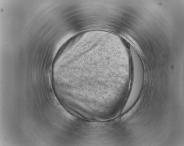 X0000088830812200707051420