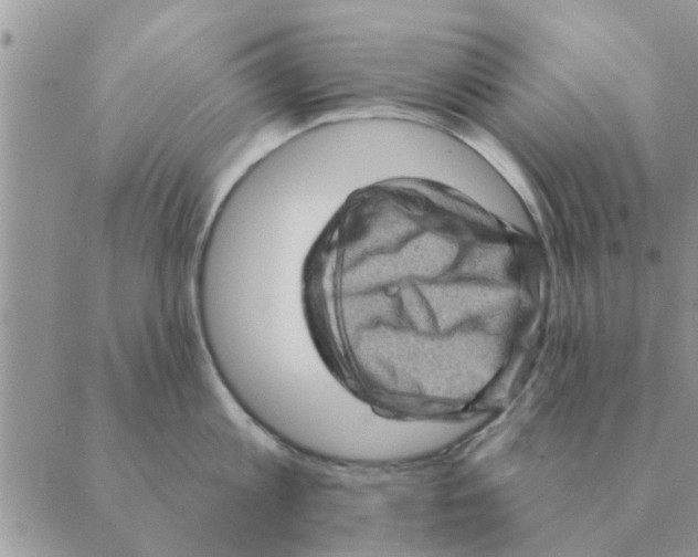 X0000088830813200707051420