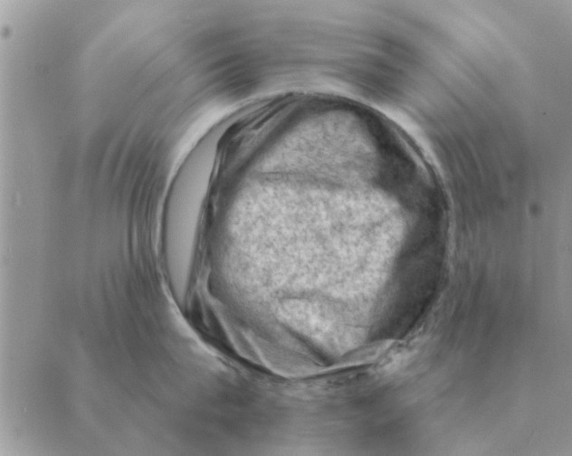 X0000088830815200707051420