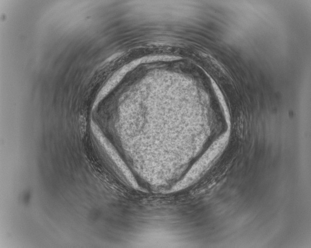 X0000088830821200707051420