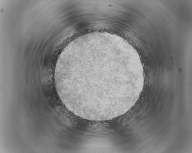 X0000088830824200707051420