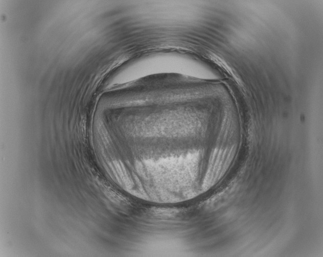 X0000088830825200707051420