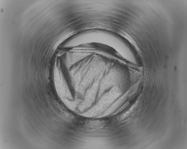 X0000088830826200707051420