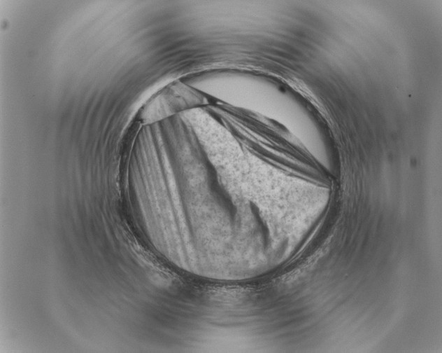 X0000088830830200707051420