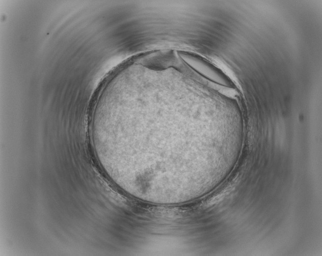 X0000088830831200707051420