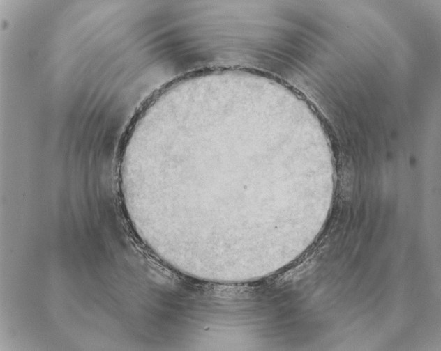 X0000088830832200707051420