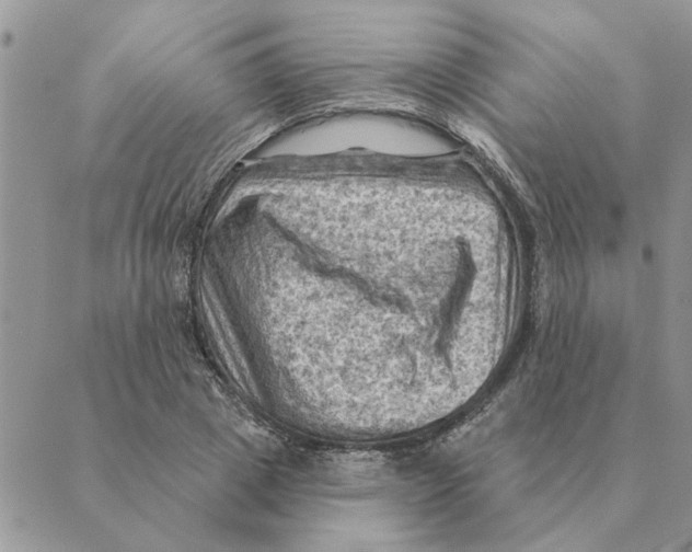 X0000088830833200707051420