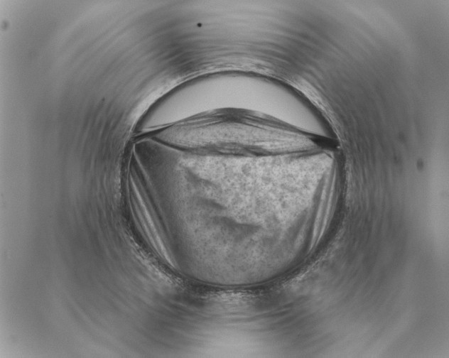 X0000088830834200707051420