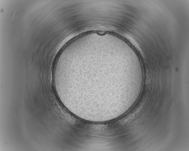 X0000088830837200707051420