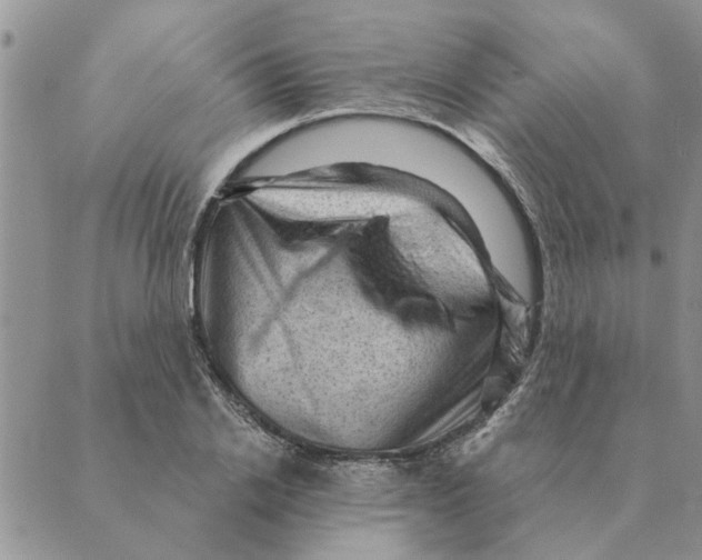 X0000088830838200707051420