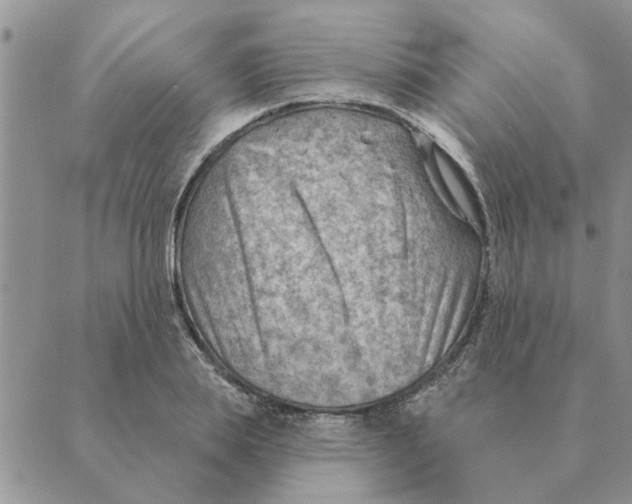 X0000088830839200707051420