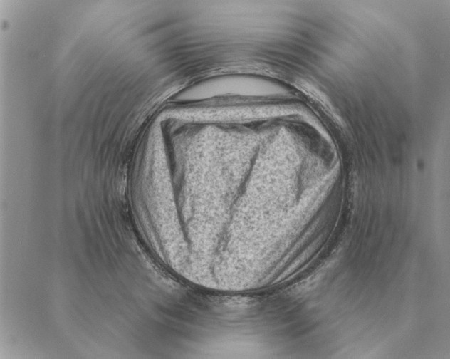 X0000088830841200707051420