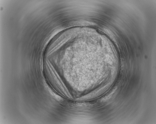 X0000088830843200707051420