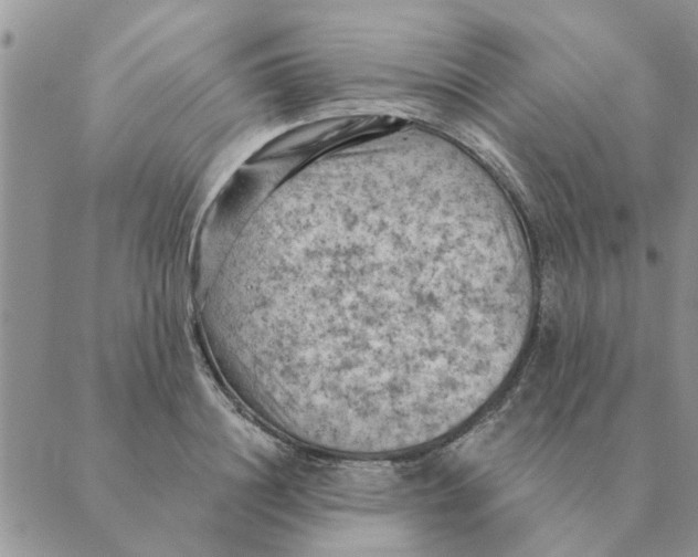 X0000088830844200707051420