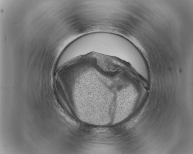 X0000088830846200707051420