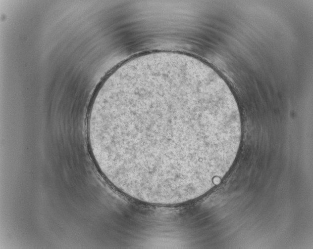 X0000088830848200707051420