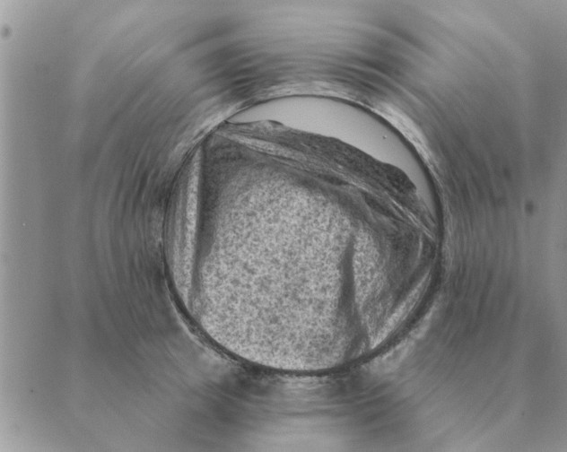 X0000088830849200707051420