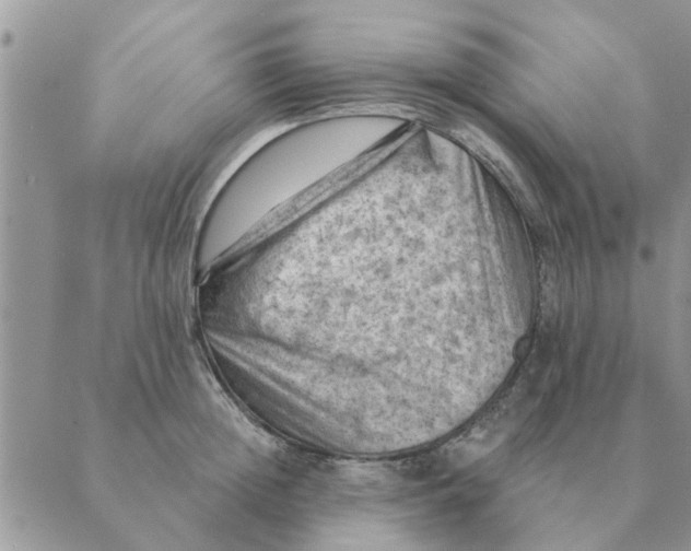 X0000088830852200707051420