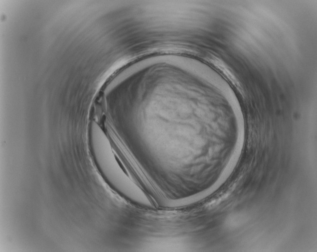 X0000088830853200707051420