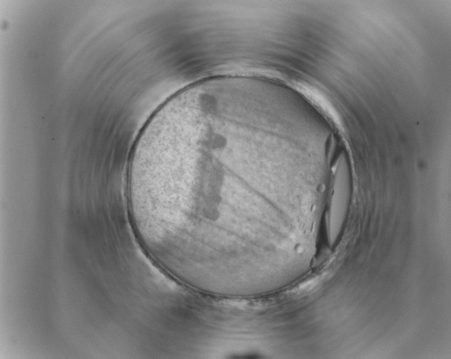 X0000088830855200707051420