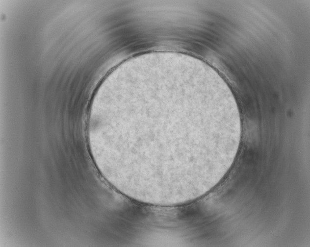 X0000088830856200707051420