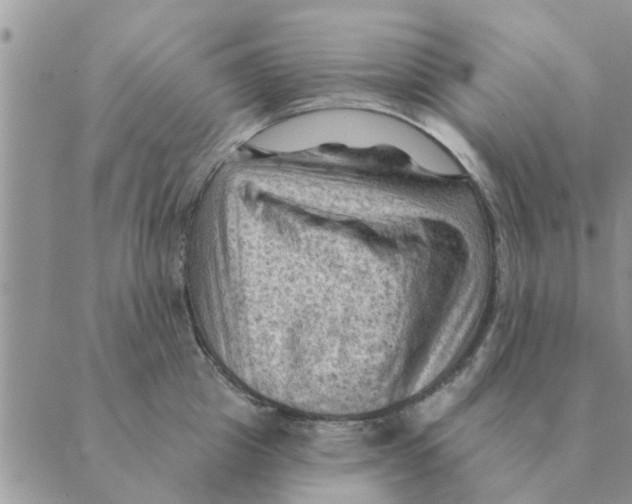 X0000088830857200707051420