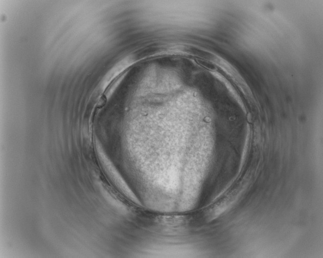 X0000088830858200707051420