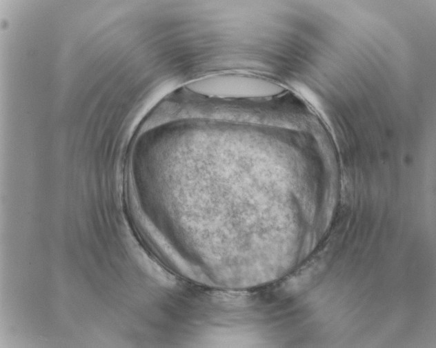 X0000088830859200707051420