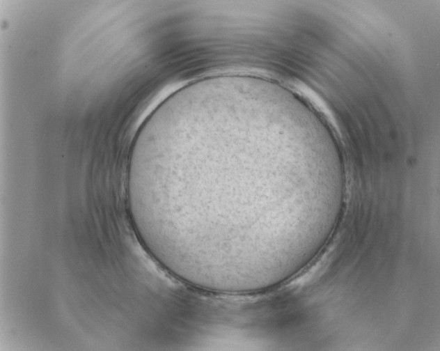 X0000088830860200707051420