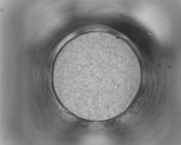 X0000088830861200707051420