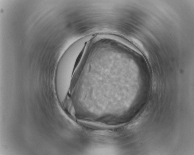 X0000088830863200707051420