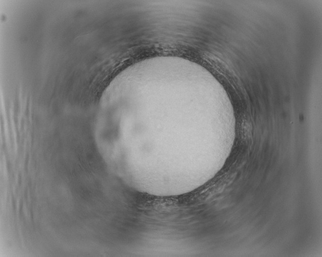 X0000088830865200707051420