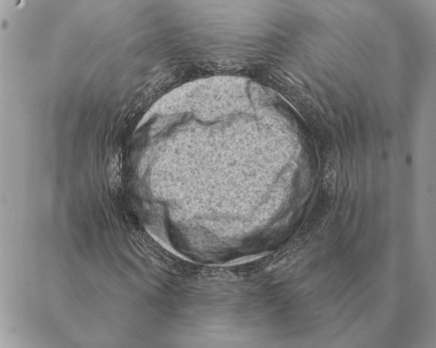 X0000088830866200707051420