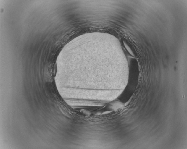 X0000088830868200707051419