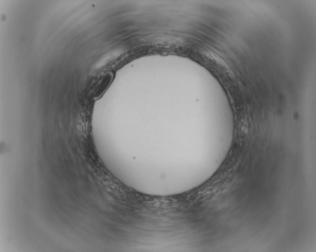 X0000088830869200707051419