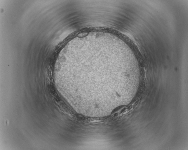 X0000088830871200707051419