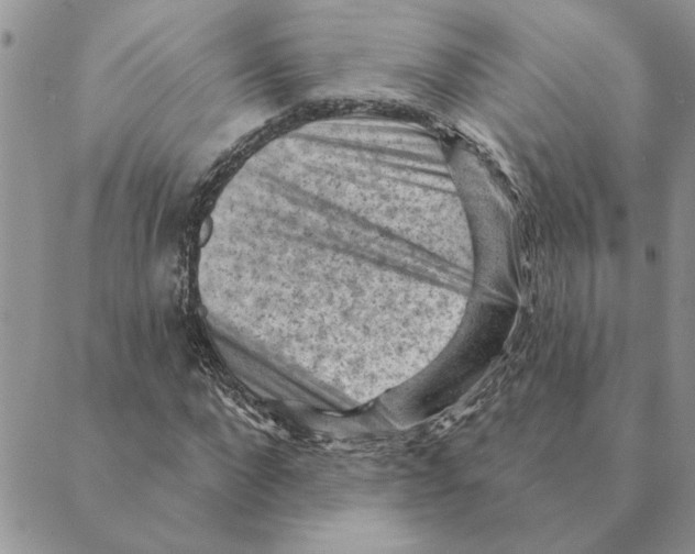 X0000088830872200707051419