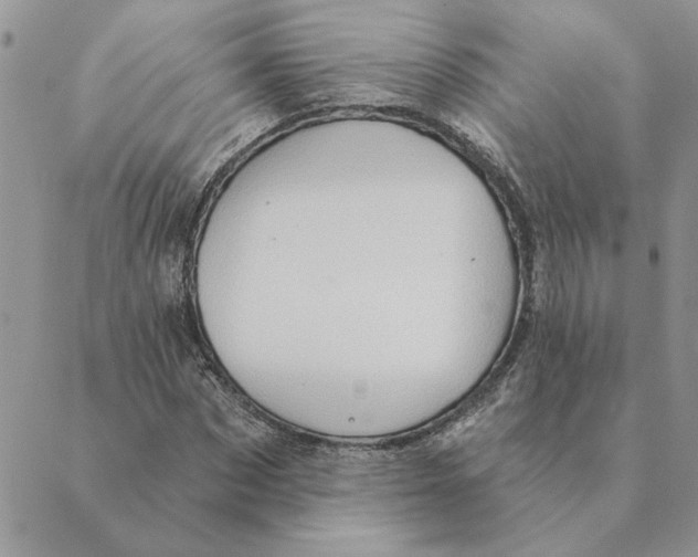 X0000088830873200707051419