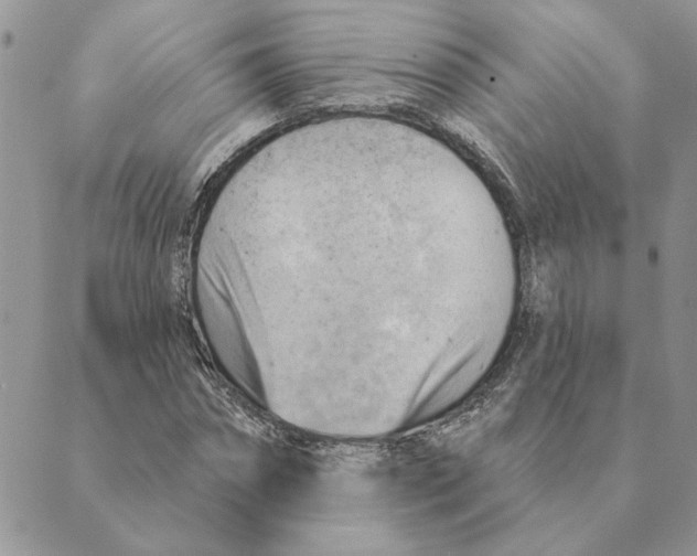 X0000088830874200707051419