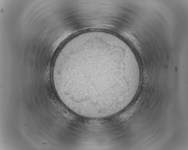 X0000088830875200707051419