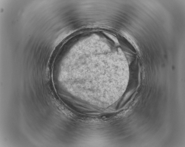 X0000088830876200707051419