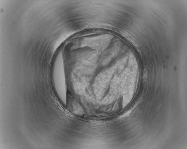 X0000088830877200707051419