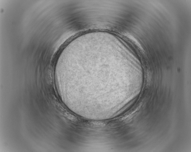 X0000088830878200707051419