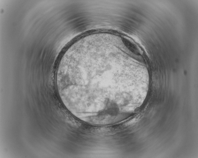 X0000088830879200707051419