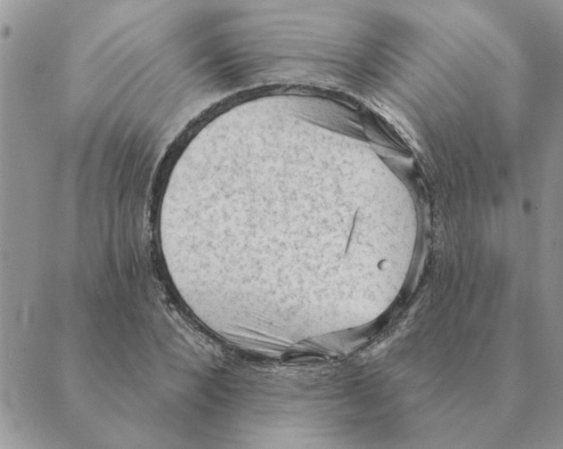 X0000088830880200707051419